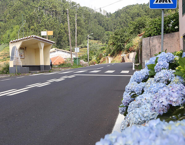 Reabilitado troço da ER 110 entre a Camacha e as Águas Mansas 