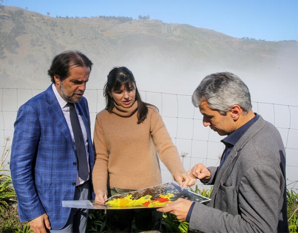 Faixa corta-fogo com 200 hectares intervencionados