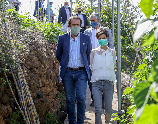 Projeto agrícola apoiado em mais de 130 mil euros