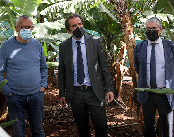 Sucesso da agricultura passa pela inovação na produção