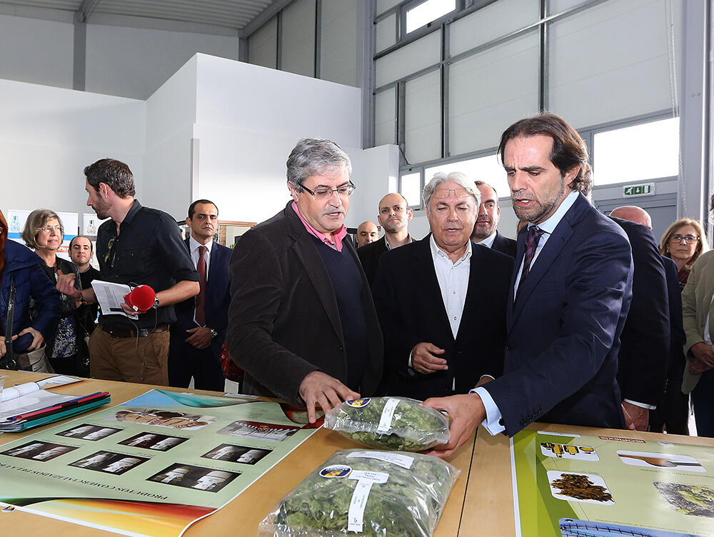 Presidente do GR visita empresa UBQ