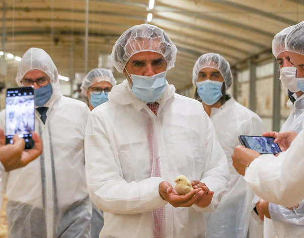 Governo quer Madeira autossuficiente em termos de produção alimentar
