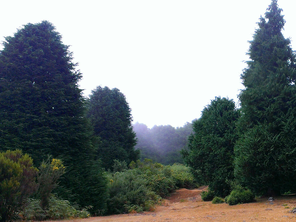 Governo abre à população Casa das Sorveiras no Montado do Barreiro