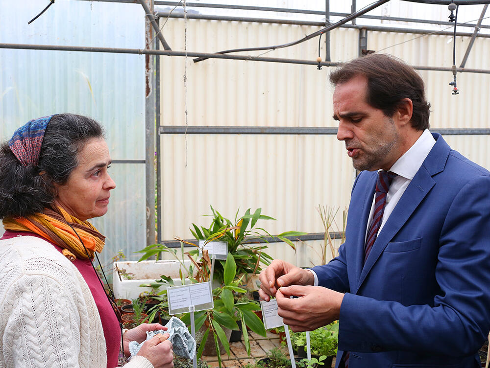 Governo não permitirá exploração dos produtores de banana e reafirma apoio ao pastoreio ordenado