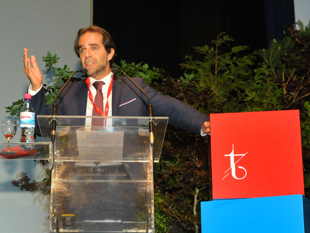 Festa da Flor em 4 semanas poderá ter 2 cortejos alegóricos