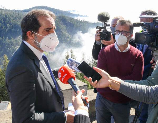 Albuquerque apela à limpeza das florestas