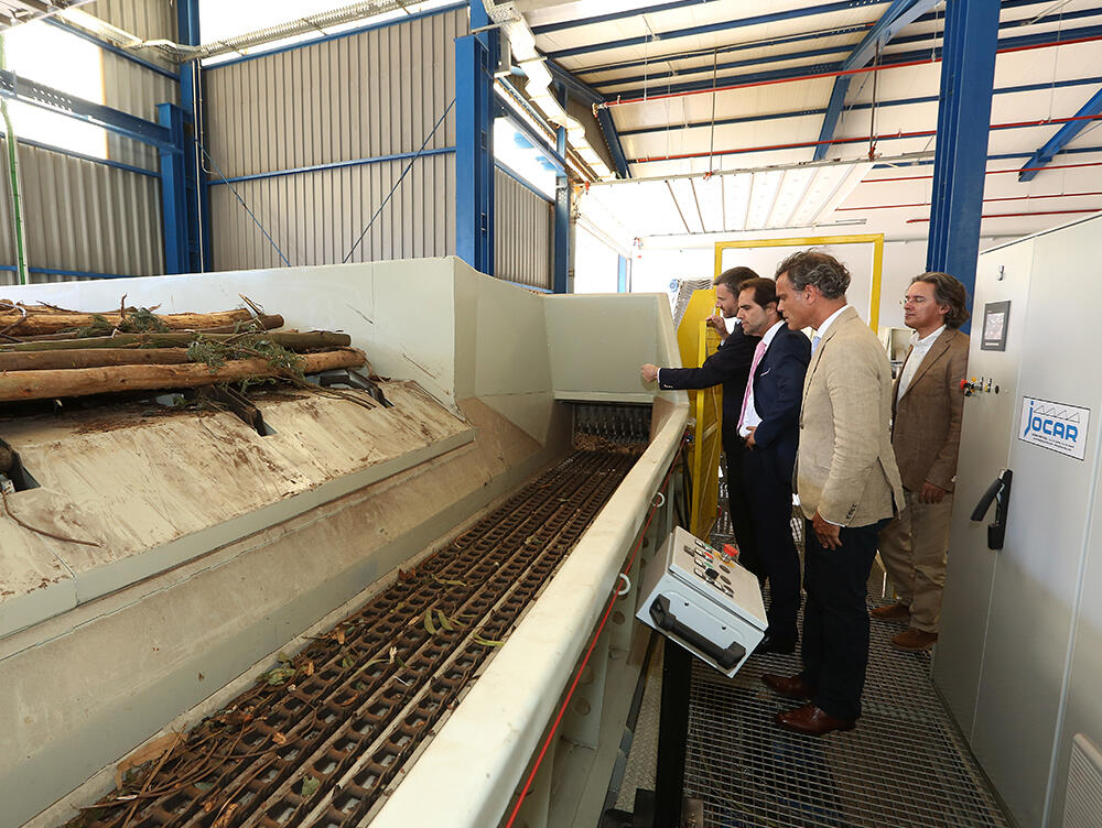 Madeira dá mais um passo importante na área das energias renováveis