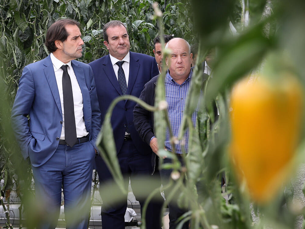 Mais espaços agrícolas nos Parques Empresariais