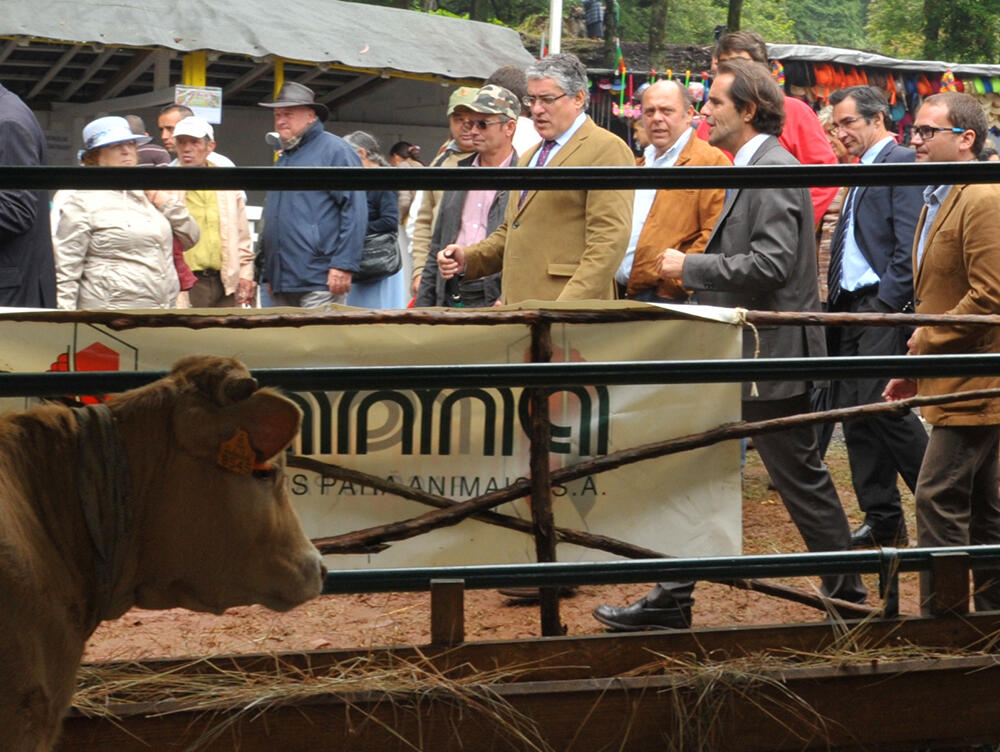 Presidente do Governo Regional esteve presente na Feira do Gado.