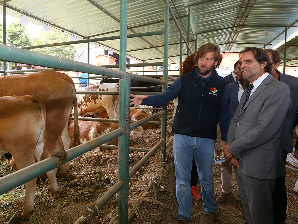 Presidente do Governo  manifesta apoio e solidariedade aos emigrantes
