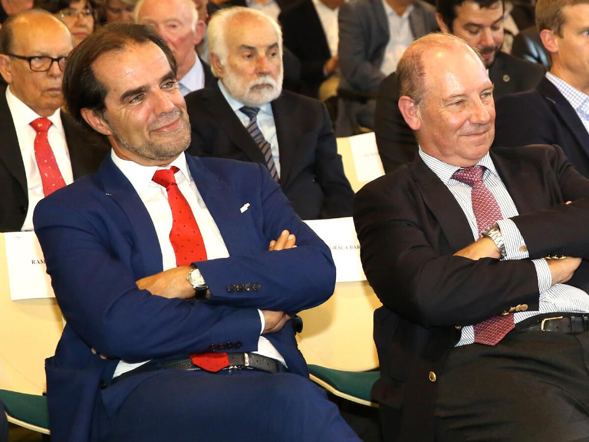 "O meu papel tem sido sempre defender o pluralismo informativo"