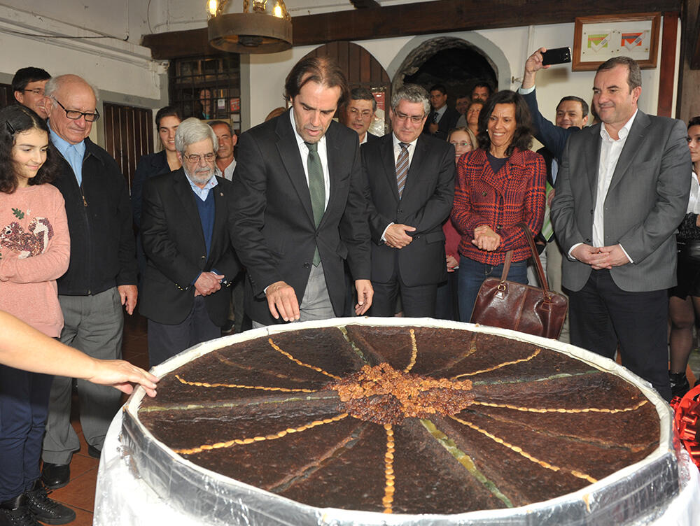Governo da Madeira prepara plano estratégico para produção de cana-de-açúcar