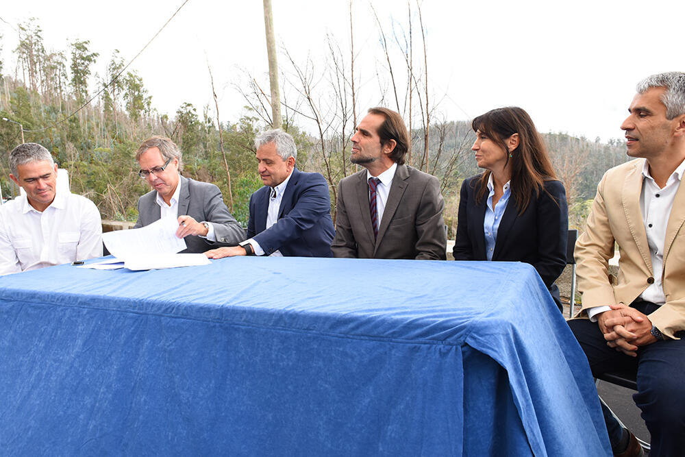 Governo conta com mais 60 hectares para criar faixa corta-fogo no Funchal