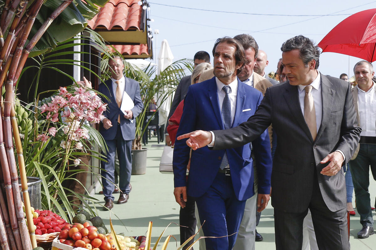 Rendimento líquido na agricultura continua a crescer