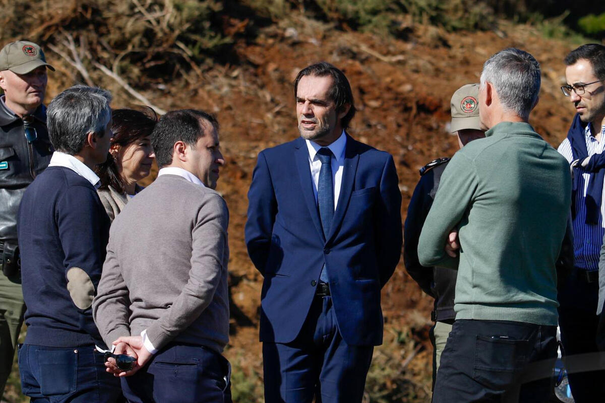 89 mil plantas reflorestam Chão das Aboboreiras