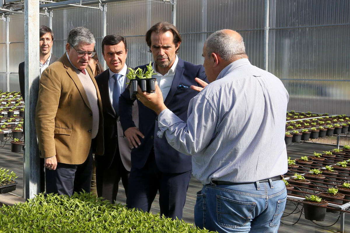 Produção em estufa é exemplo a seguir