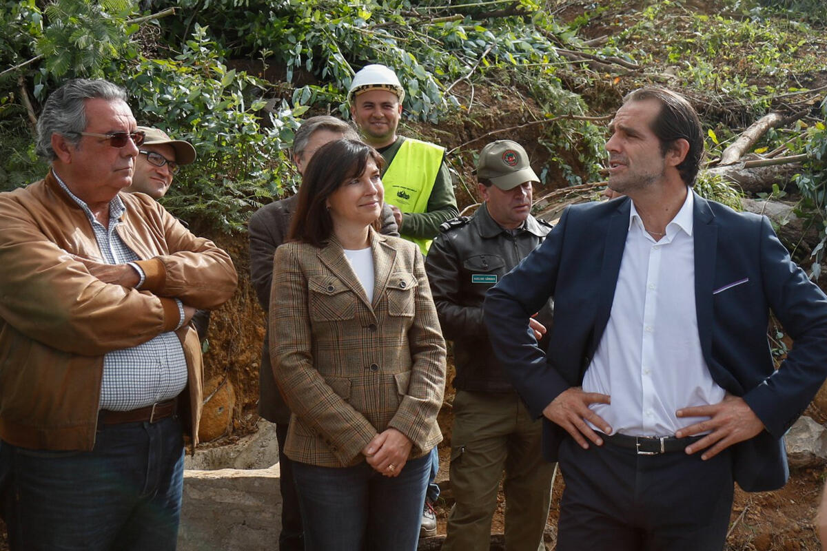 Governo já limpou 350 hectares de terrenos florestais