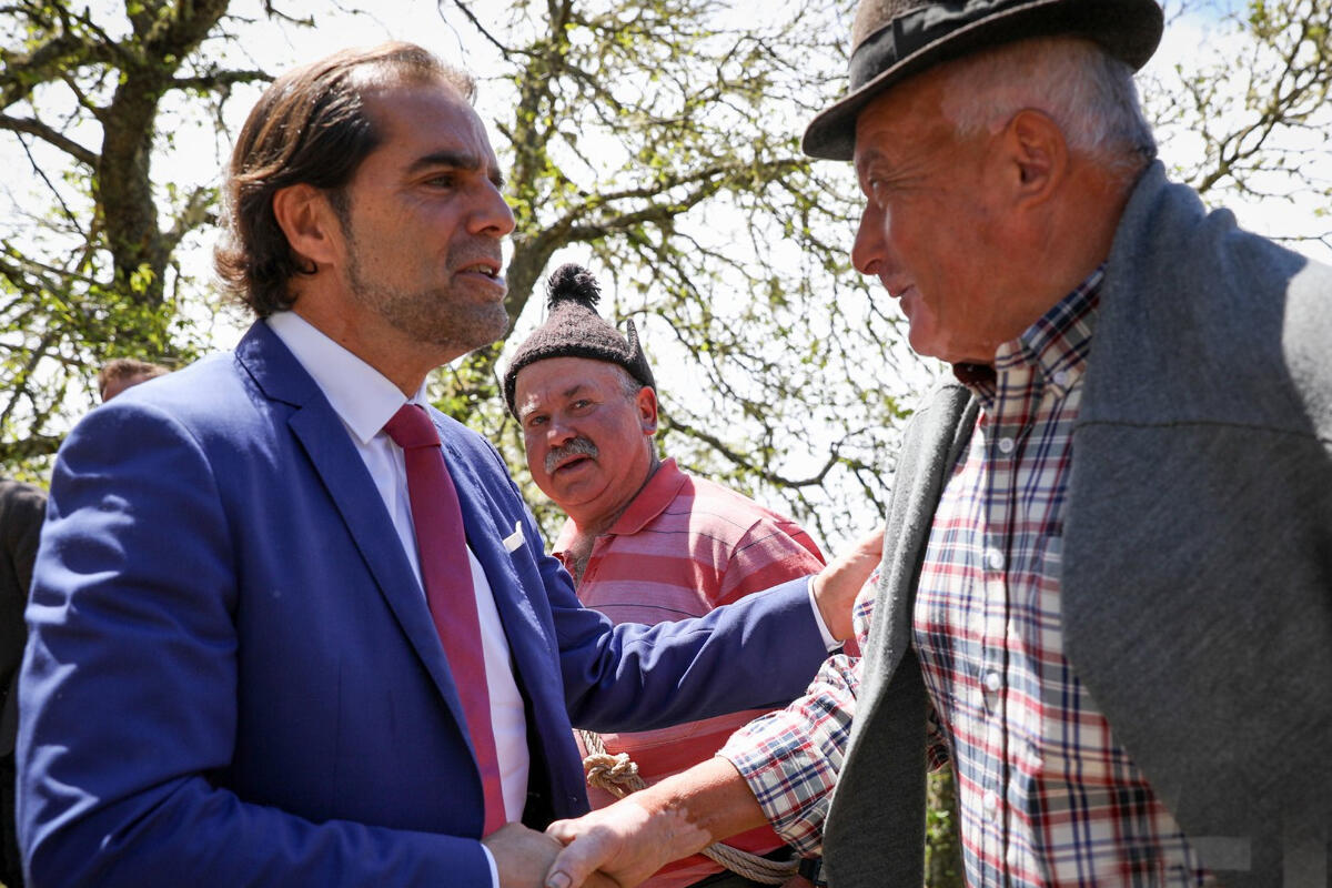 Governo apoia os criadores de gado