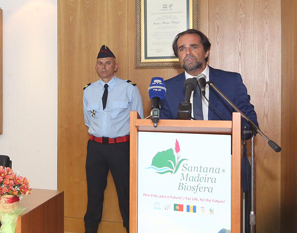 Madeira não pode voltar ao que era no passado