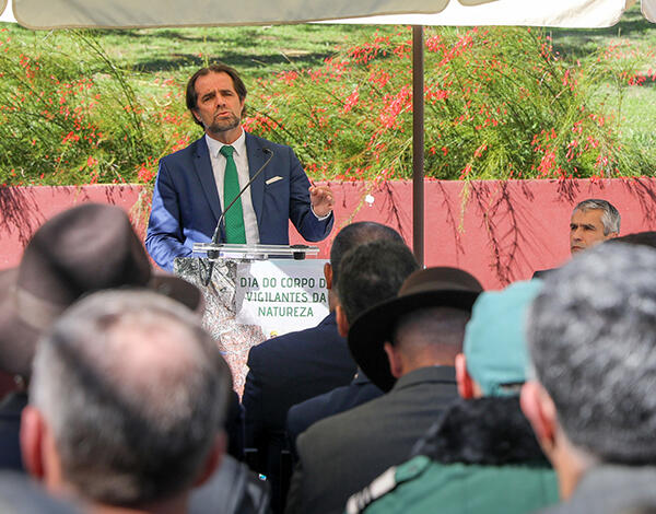 Albuquerque anuncia medidas para proteger lobos-marinhos e “freiras da Madeira”