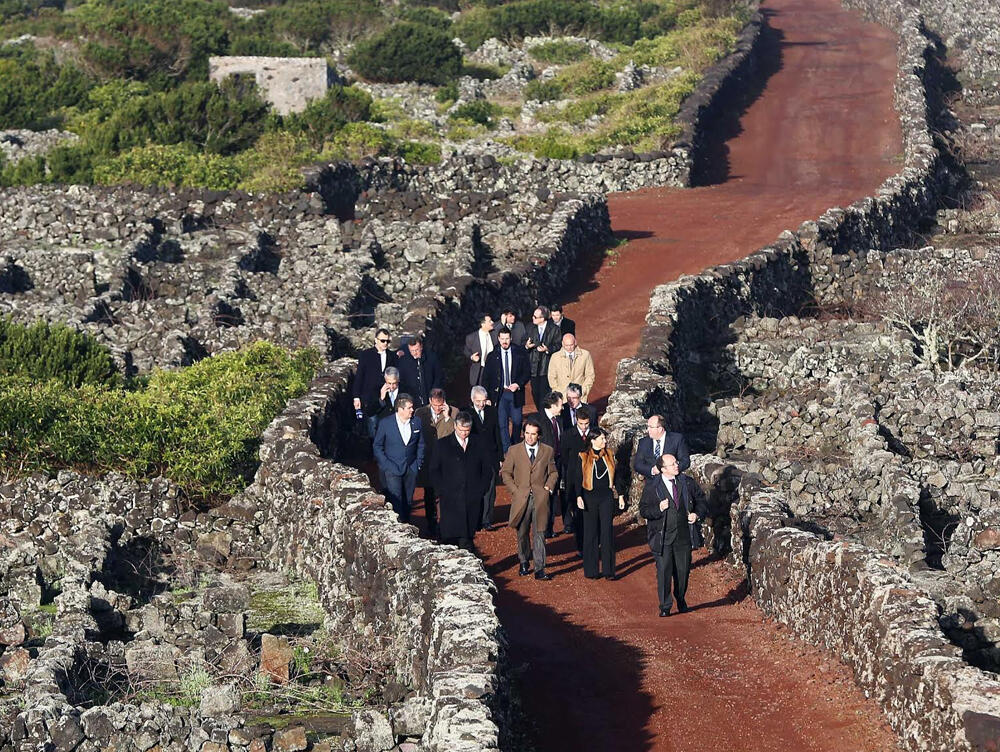 Vasco Cordeiro e Miguel Albuquerque visitam Paisagem da Vinha do Pico classificada como Património Mundial