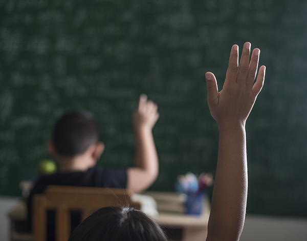 Desenvolvimento das Aprendizagens - Câmara de Lobos