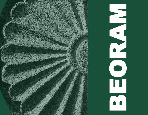 Boletim de Execução Orçamental 11/2020