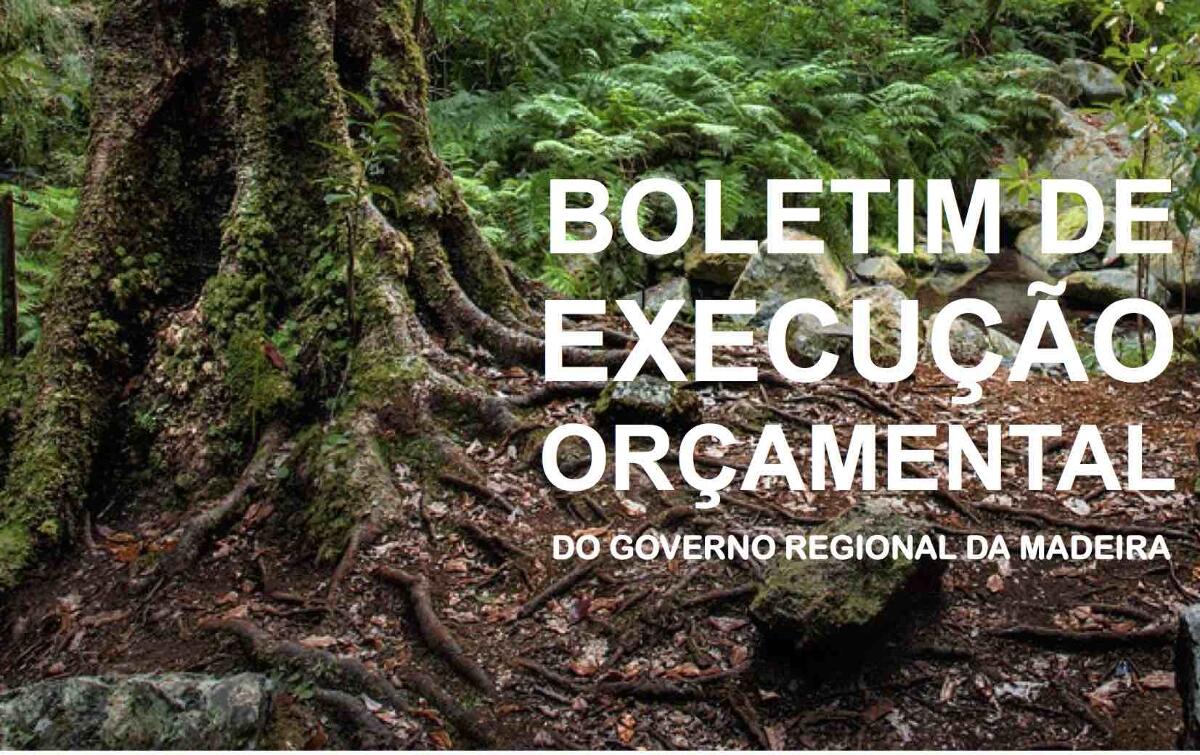 Boletim de Execução Orçamental 2/2013