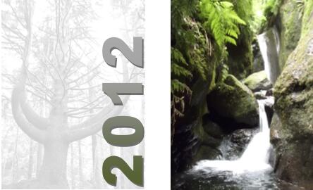 Orçamento da Região 2012