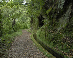 PGRH-Madeira 2016-2021