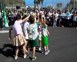 Escola do Porto da Cruz hasteia sexta Bandeira Verde
