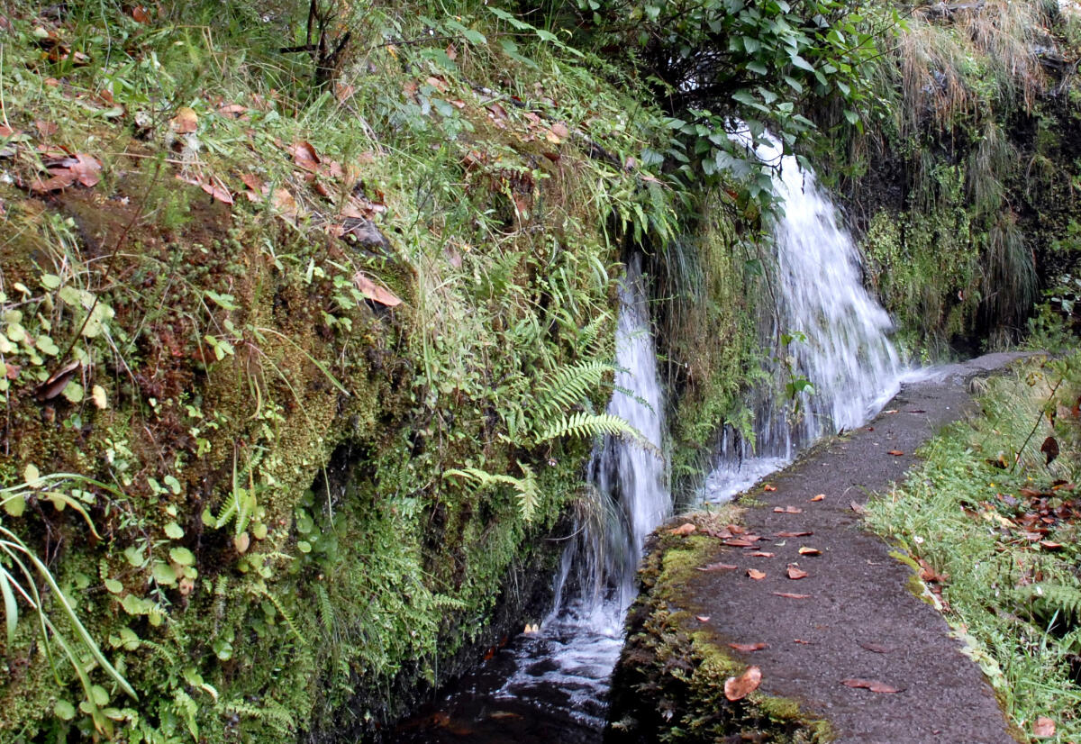 Avaliação Intercalar do Programa de Medidas do PGRH 2016/2021