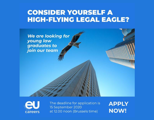  Tens formação superior em Direito e consideras ter um bom perfil de competências?