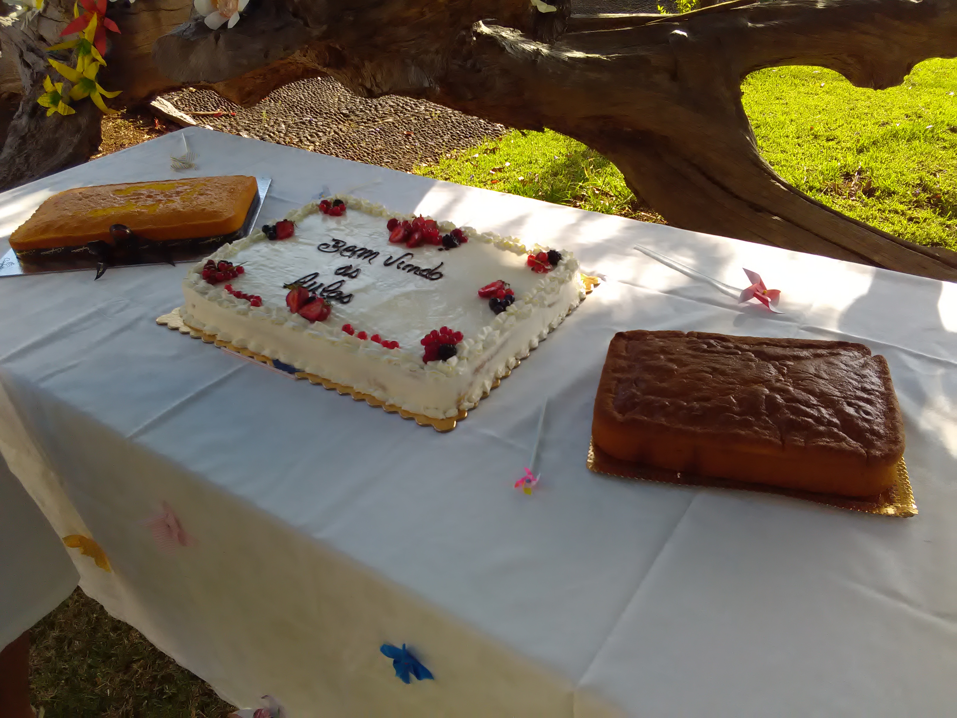 festa_inicio_ano_letivo1