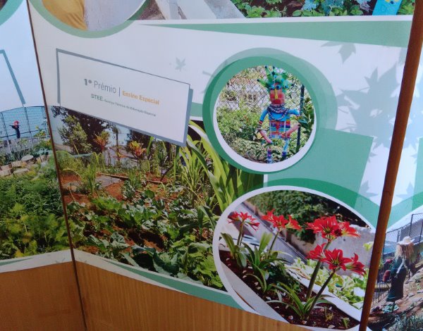 Funchal Premiou Escolas Com os Melhores Jardins do Concelho