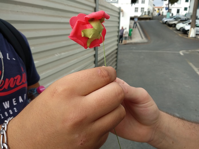 Peddy Paper 2021 - 2