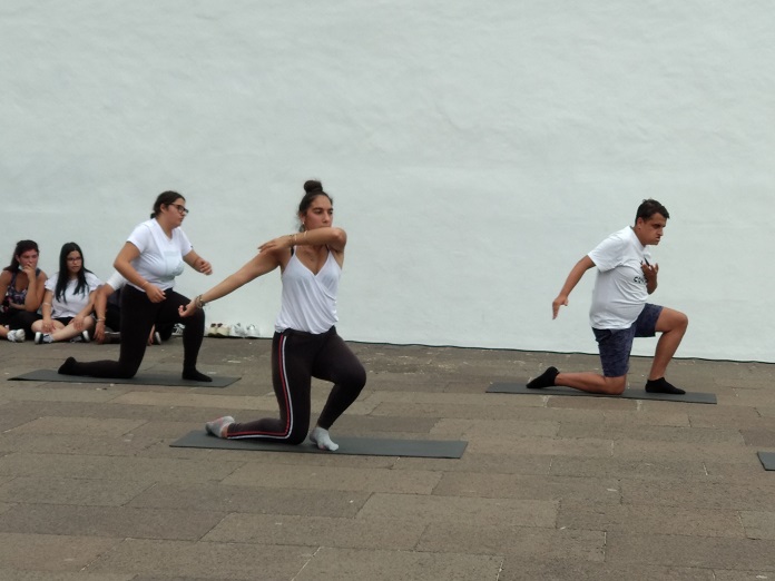 Peddy Paper 2021 - 4