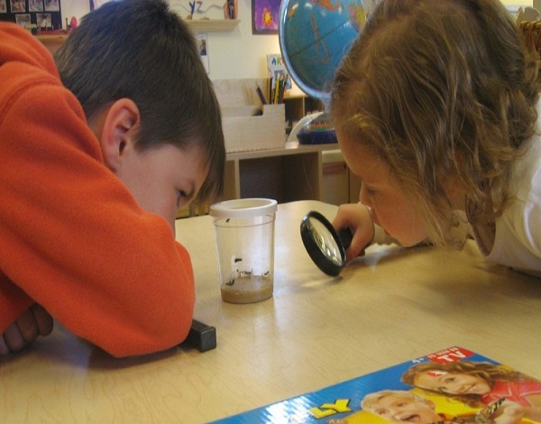 Aprendizagem por Projetos na Educação de Infância