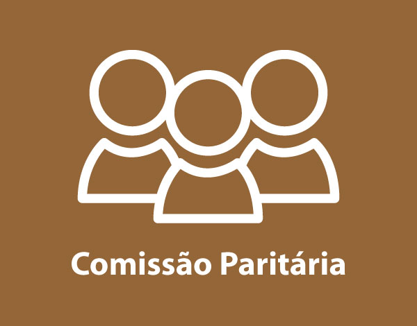 Comissão Paritária - Despacho de Constituição