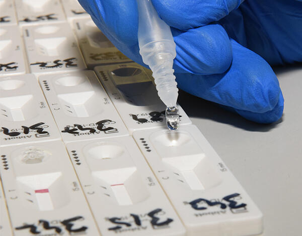 Testes rápidos no Porto Santo