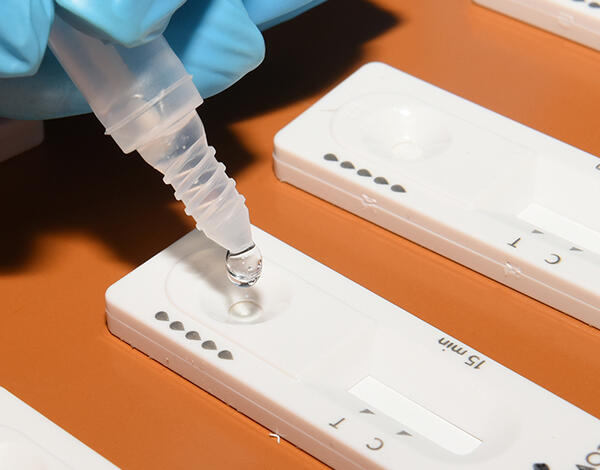 SESARAM realizou 424 testes na Calheta