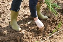 Guias de boas práticas sobre agricultura e pesca 