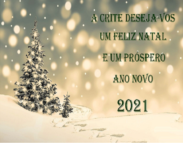 Feliz Natal e um Próspero Ano Novo de 2021!