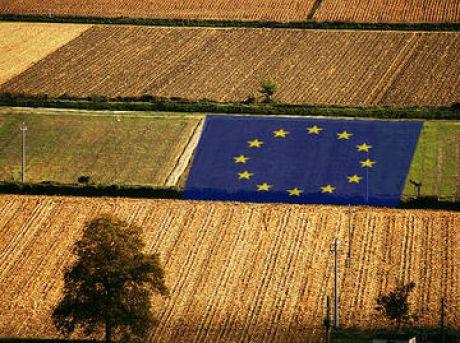 A Comissão Europeia lança consulta pública sobre o futuro da Política Agrícola Comum