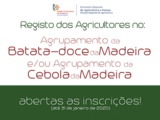 Abertas as inscrições para os Agrupamentos de Produtores da "Batata-doce da Madeira" e da "Cebola da Madeira"