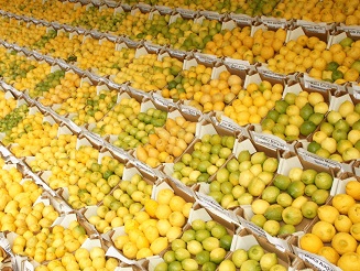 XVIII Exposição Regional do Limão - estão abertas as inscrições