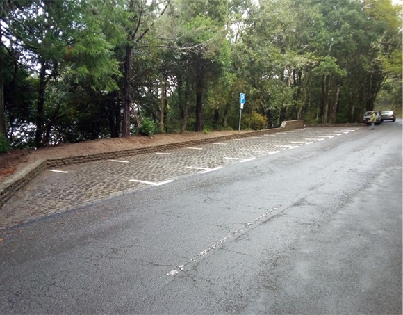 20190129_ER103_EstacRibFrio_Img157