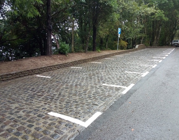 20190129_ER103_EstacRibFrio_Img209