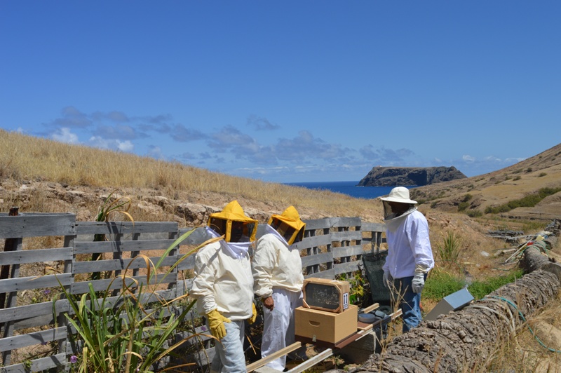 Alerta aos Apicultores