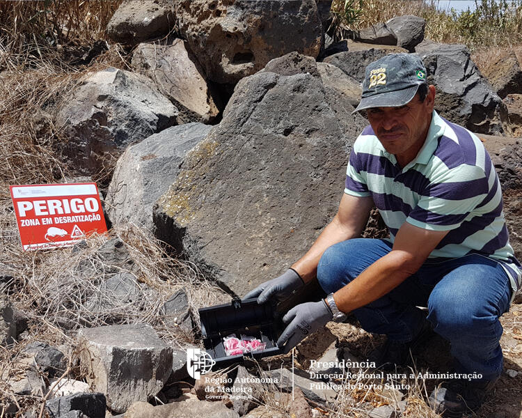 Campanha de desratização e controle de pragas no Porto Santo